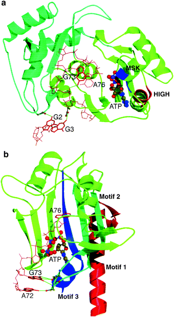 figure 04232