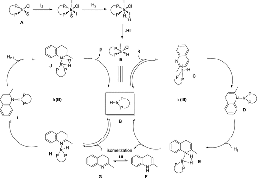 scheme 42