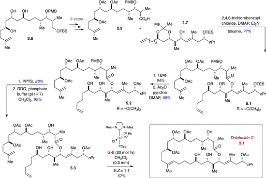 scheme 5