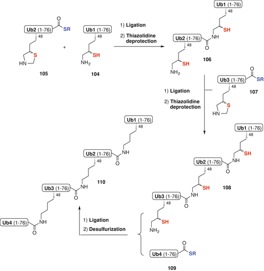 scheme 26