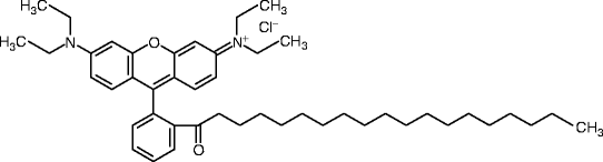 figure 17_56