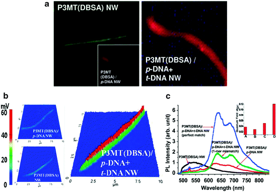 figure 020725