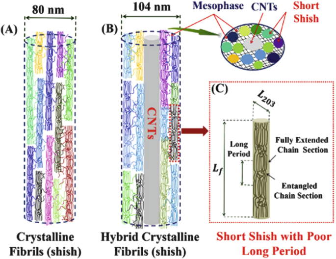 Solid State Foaming of Poly(lactic acid) Blown with Compressed CO2:  Influences of Long Chain Branching and Induced Crystallization on Foam  Expansion and Cell Morphology