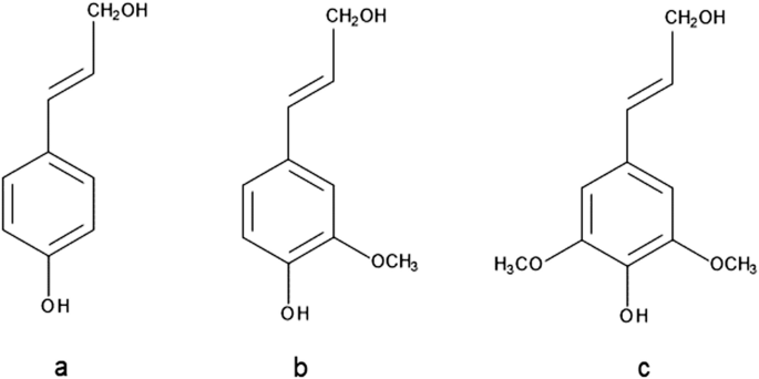 scheme 3