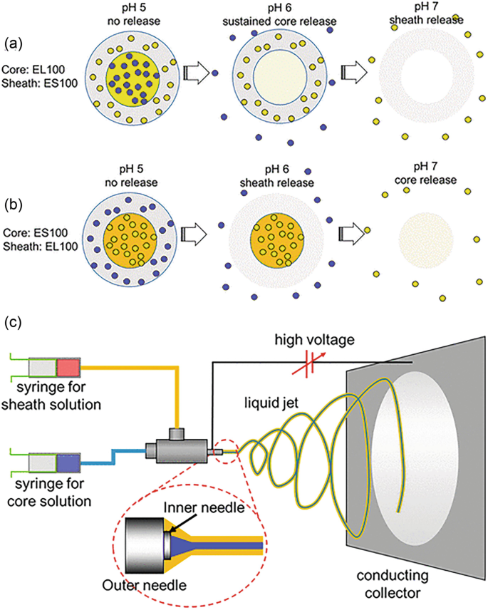 Nanofiber-Based Systems for Stimuli-Responsive and Dual Drug