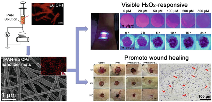 Nanofiber-Based Systems for Stimuli-Responsive and Dual Drug