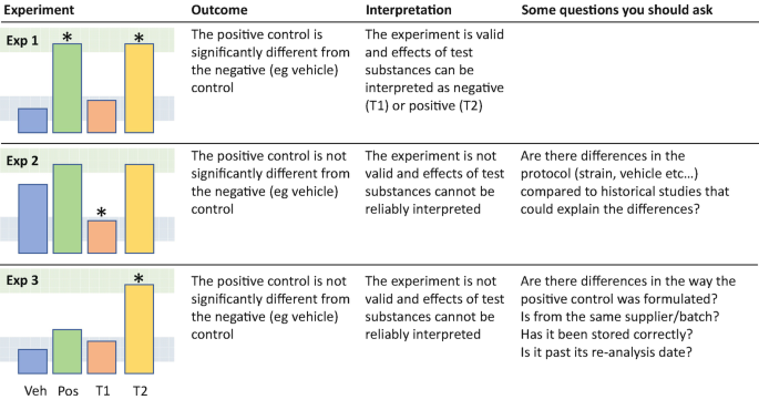 The Difference Between Control Group and Experimental Group