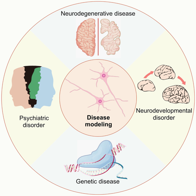 Personalized genetics of the cholinergic blockade of neuroinflammation -  Simchovitz - 2017 - Journal of Neurochemistry - Wiley Online Library