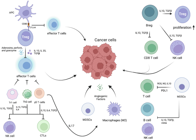 Role of Regulatory Immune Cells in Tumour Microenvironment (TME ...