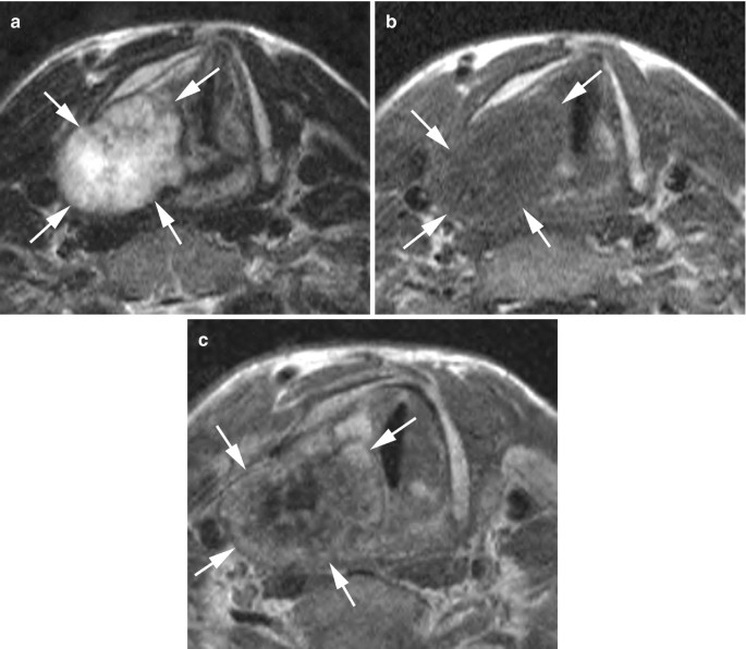 figure 38