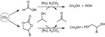 scheme 24