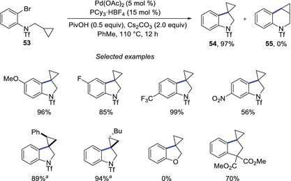 scheme 14