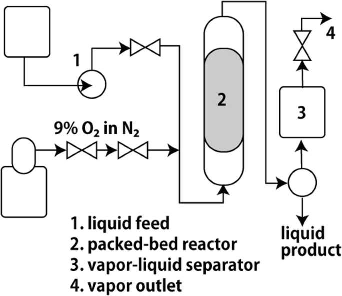 Enhancing continuous-flow reactions via compression-molding of solid  catalysts and dilutants in packed-bed systems - RSC Advances (RSC  Publishing)