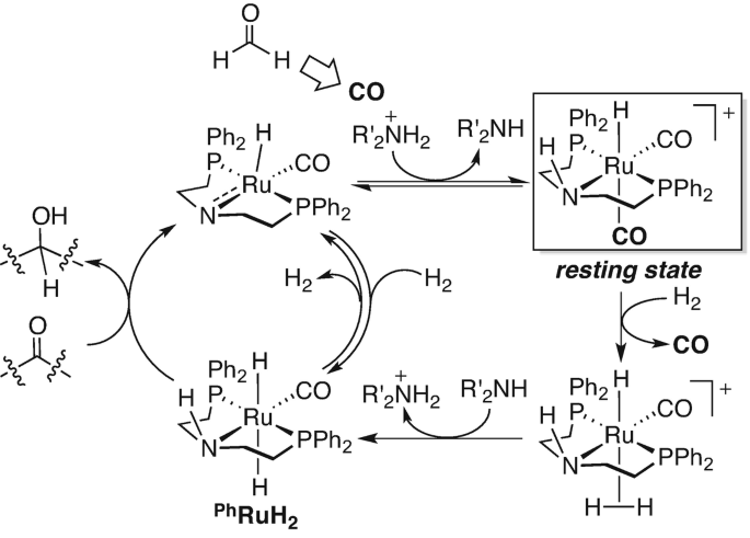 scheme 16