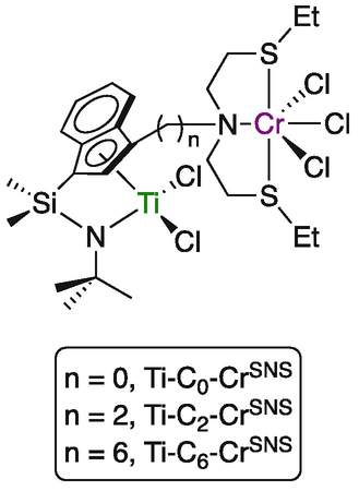 scheme 12