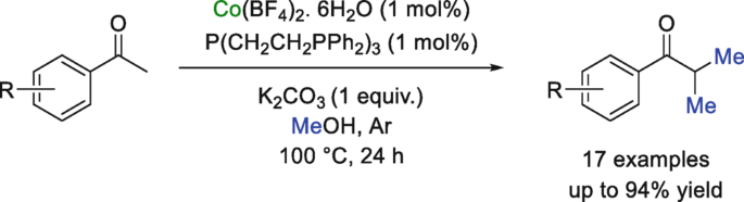 scheme 20