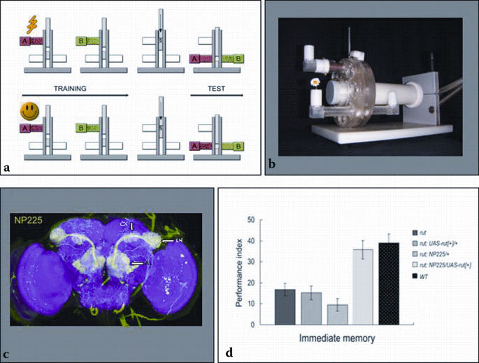 figure 4_9