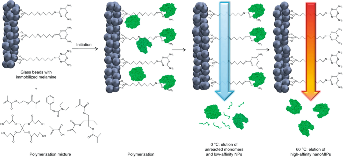 Biological, Bio-Derived, and Biomimetic Receptors in Mass