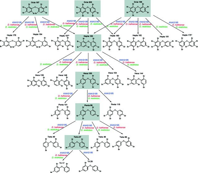 figure 5_96