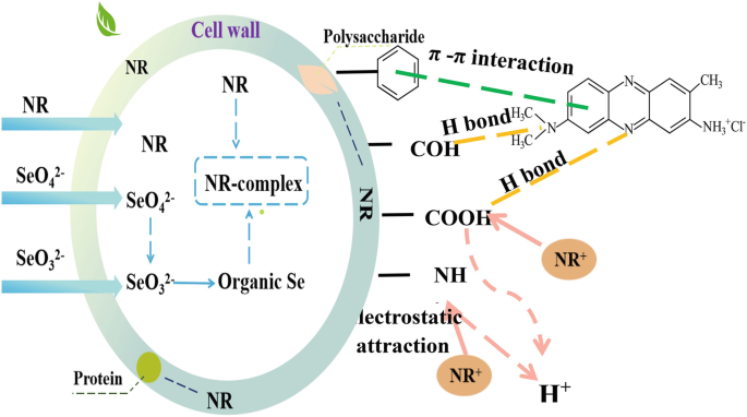 figure 16