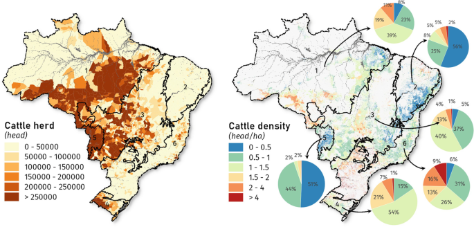 Agricultural Land Degradation in Brazil | SpringerLink