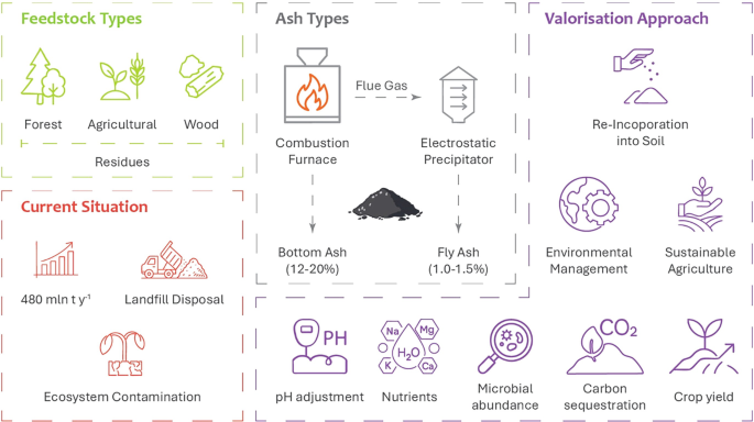 Valorization of Biomass-Derived Ash as a Soil Amendment and Its Impact ...