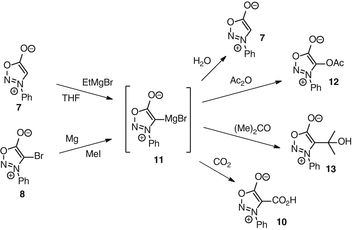 Traube's “Oxazomalonic Acid” is a 3‐Hydroxysydnone Carboxylate