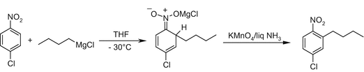 scheme 14