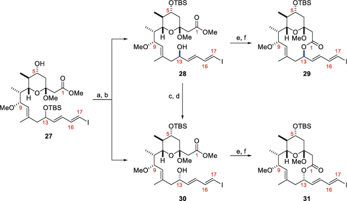 scheme 4