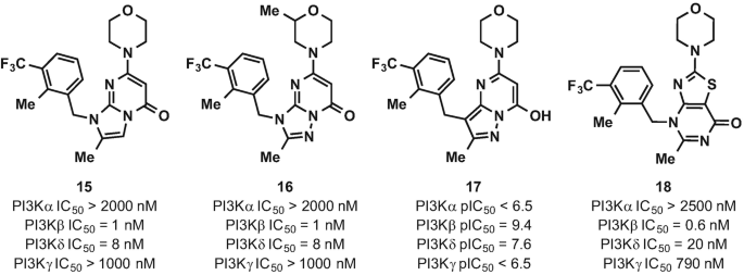 scheme 5