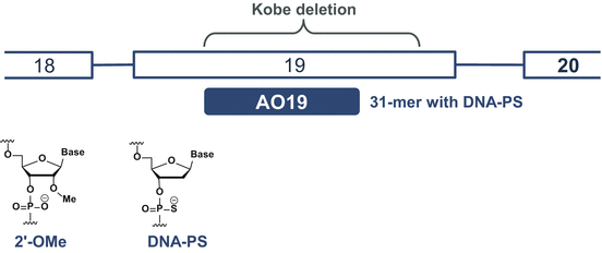 figure 20