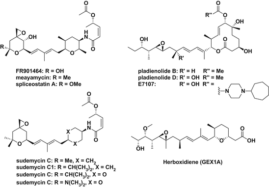 figure 23