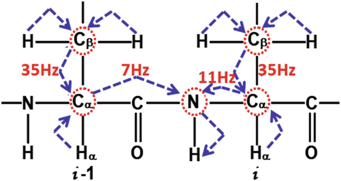 Cross‐Peaks in Simple Two‐Dimensional NMR Experiments from Chemical  Exchange of Transverse Magnetisation - Waudby - 2019 - Angewandte Chemie  International Edition - Wiley Online Library