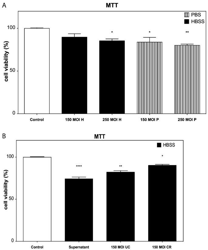 The effects of different MOI of LV on the transduction and viability