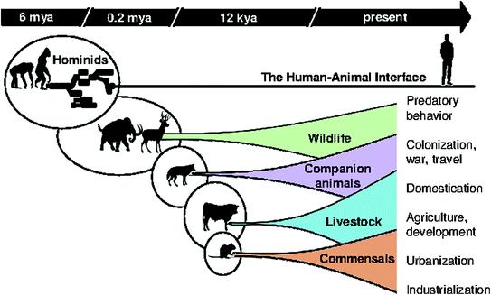 The Importance of Understanding the Human–Animal Interface | SpringerLink The Importance of Understanding the Human–Animal Interface | SpringerLink