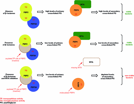 scheme 10