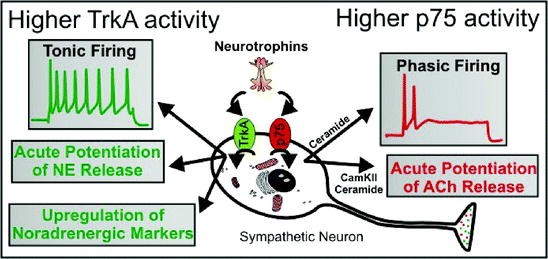 figure 4_1_151031_1_En