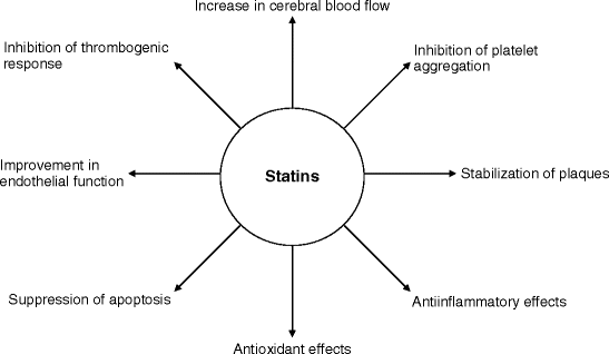 Clash of the Titans? — Where are the Titans? – Postprandial