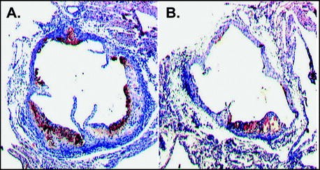 figure 20_7_105153_2_En