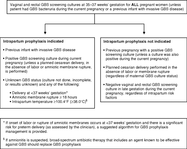 figure 35_4_97664_4_En