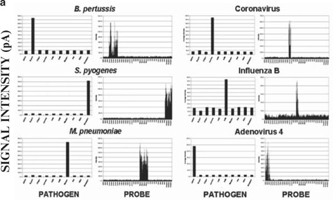 figure 2_6