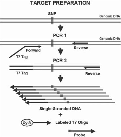 figure 6_6