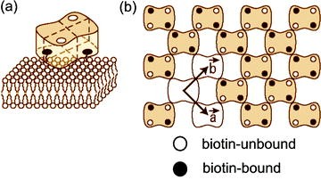 figure 17_19_152043_1_En