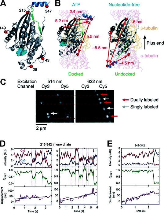 figure 5_10_152043_1_En