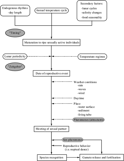 figure 2_19