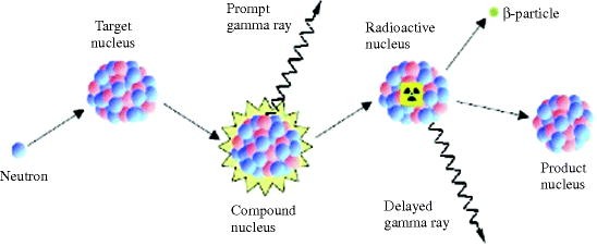 figure 13_6_148633_1_En