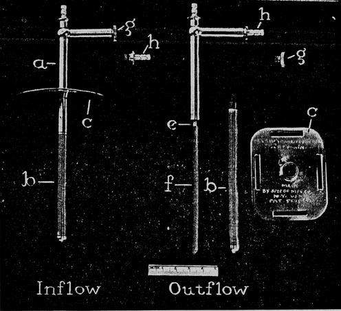 figure 14_4_978-0-387-78940-8