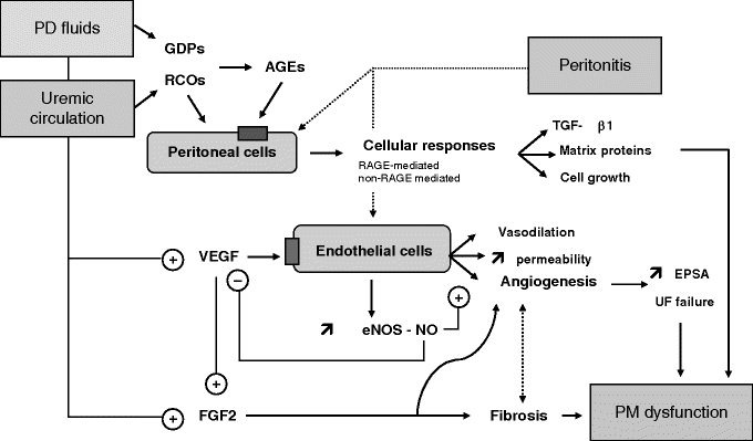 figure 27_6_978-0-387-78940-8