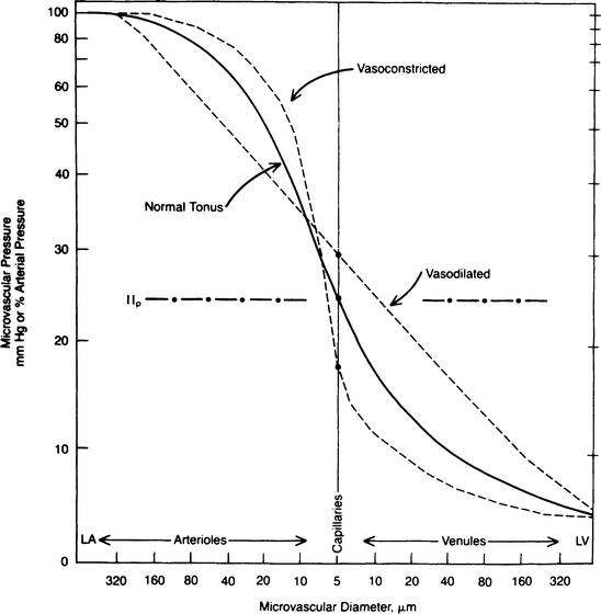 figure 4_2_978-0-387-78940-8