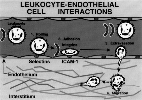 figure 4_5_978-0-387-78940-8